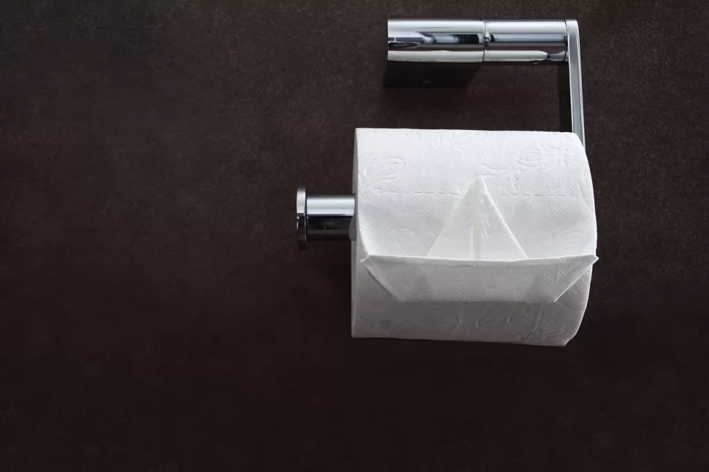 El inodoro está tapado con papel higiénico
